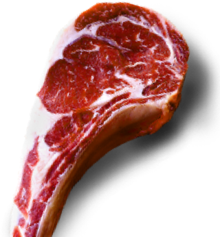 image of a piece of red meat