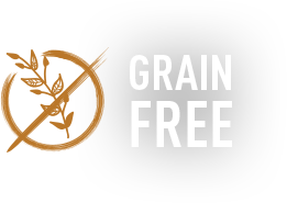 Grain free pet food 