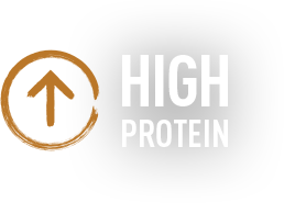 High protein dog and cat food 