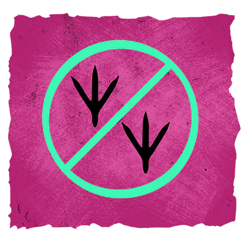 no chicken