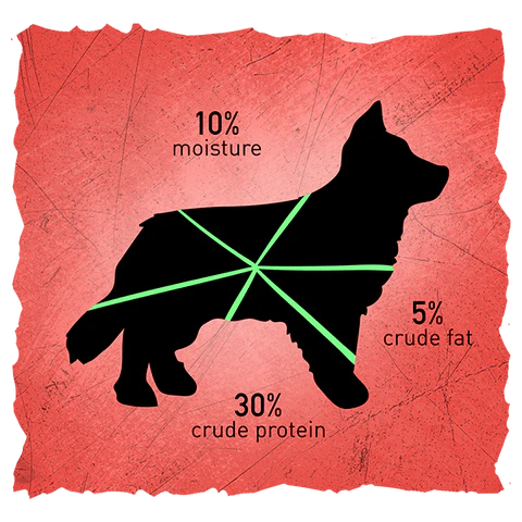 dog benefits