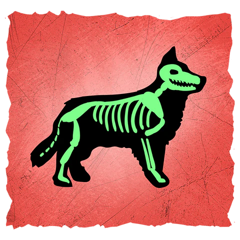 dog x-ray