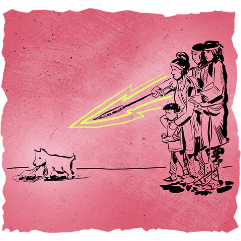 Grey wolf dog found by people