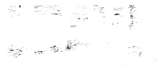 CravePet food logo