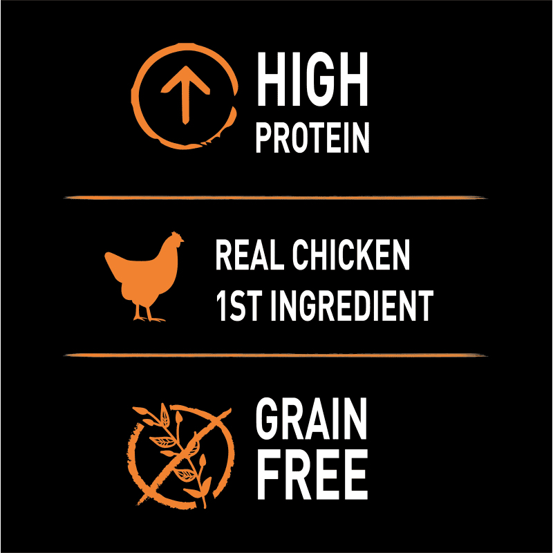 Wet Dog Chicken Recipe image 1