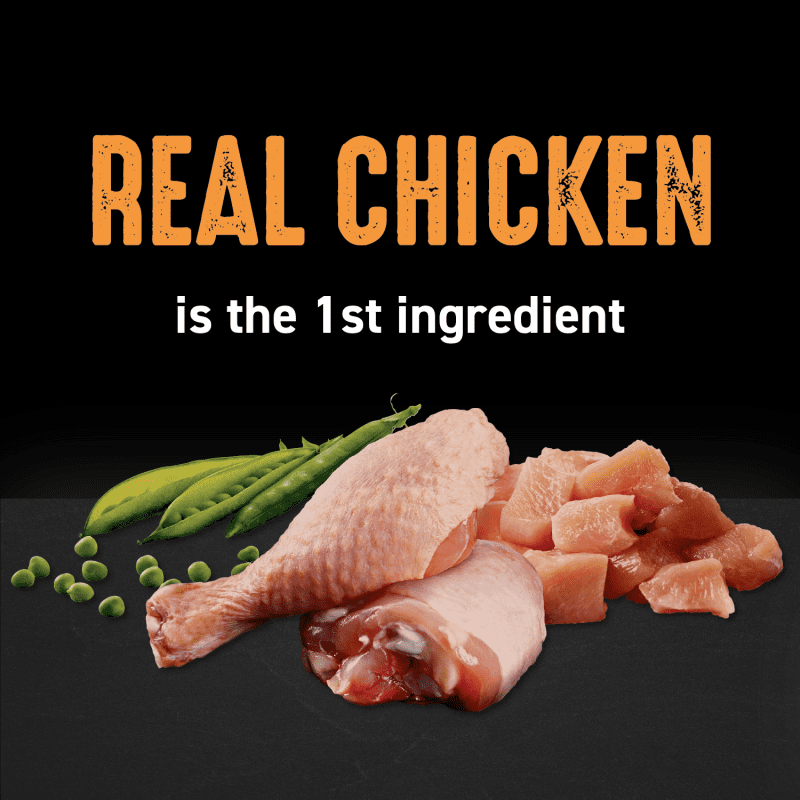 Dry Cat Chicken Recipe image 1