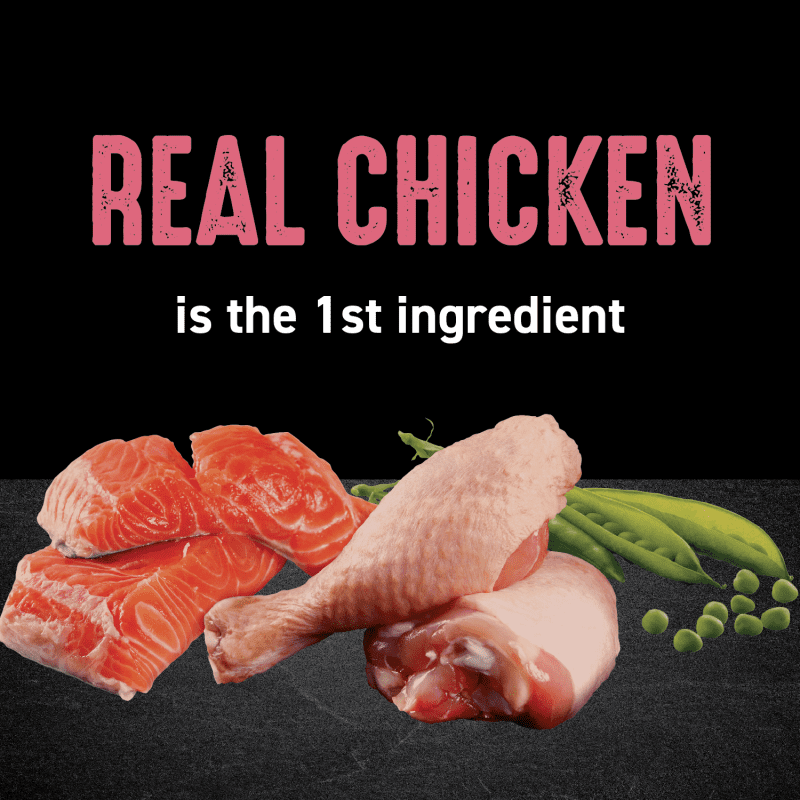 Dry Cat Chicken & Salmon Recipe image 1