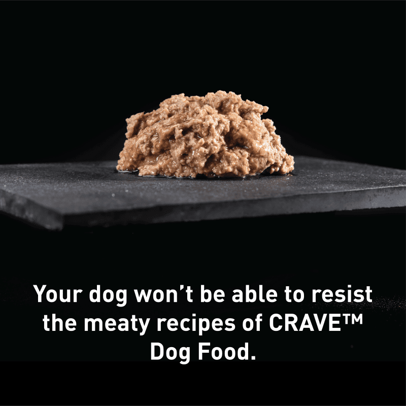 Wet Dog Chicken Recipe image 1