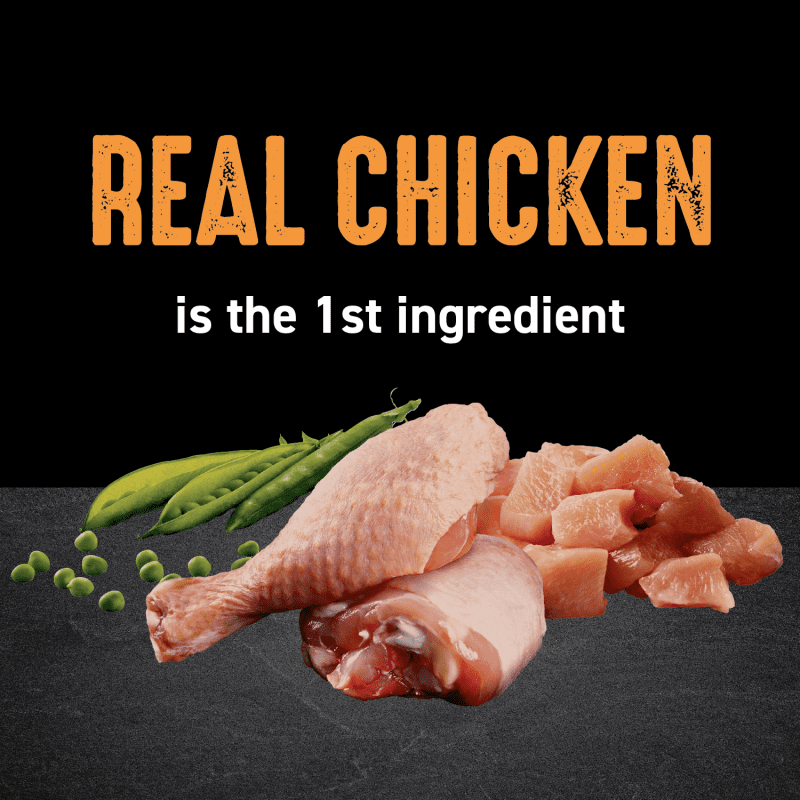 Dry Cat Chicken Recipe image 1